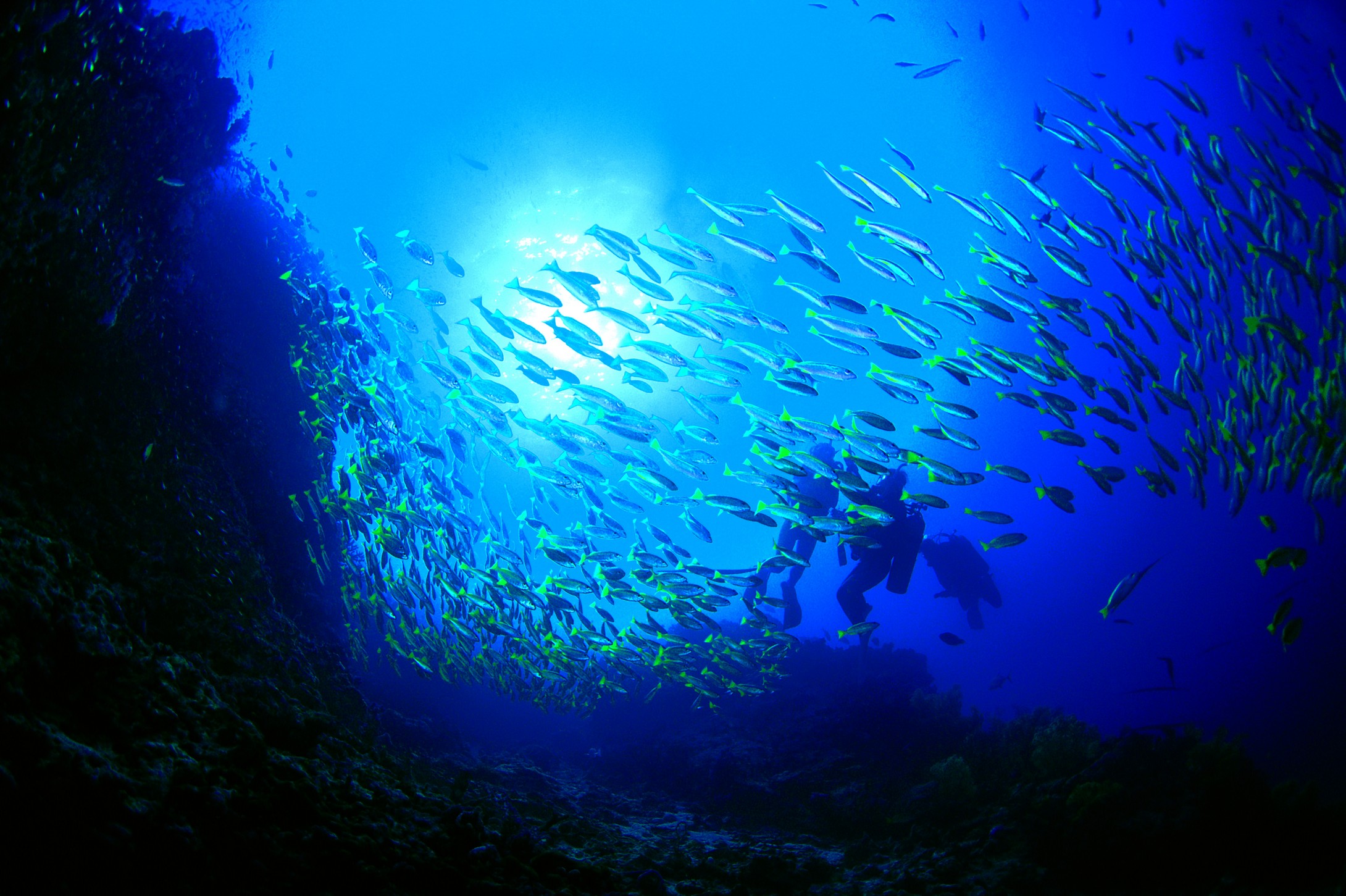 本期焦点出行目的地新风向亲子游预订量激增部分民宿